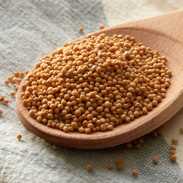 Bulk Yellow Mustard Seed - 5 lb.