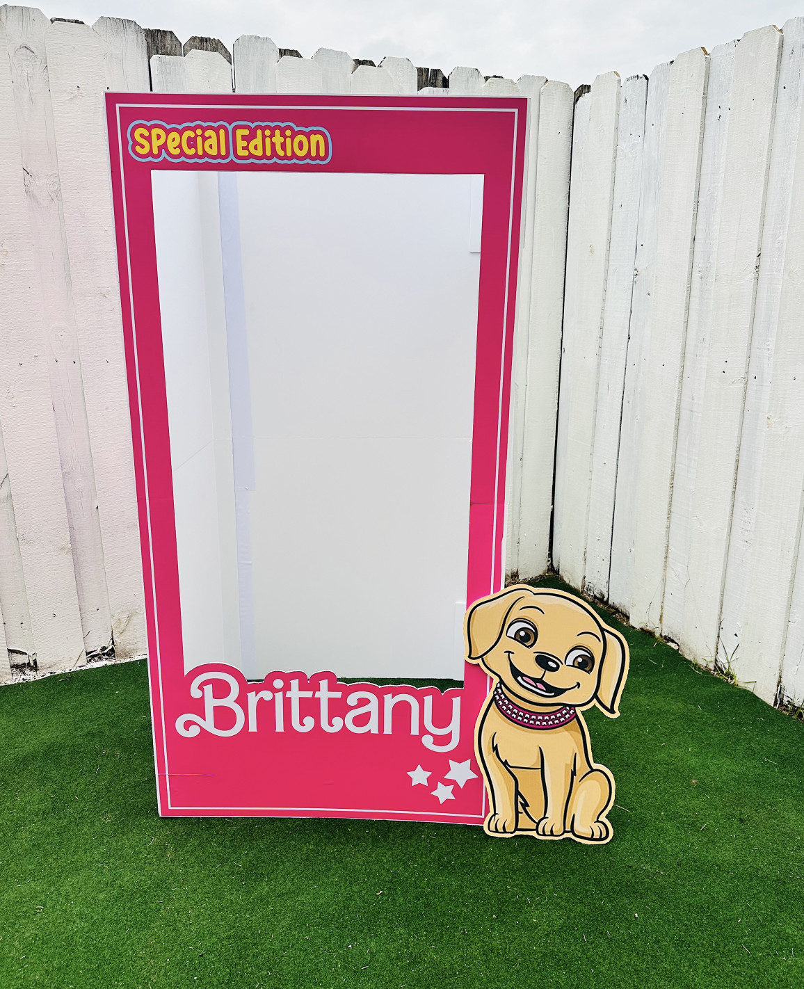 Doll photo booth, popular pink doll, birthday girls, barbie inspiration