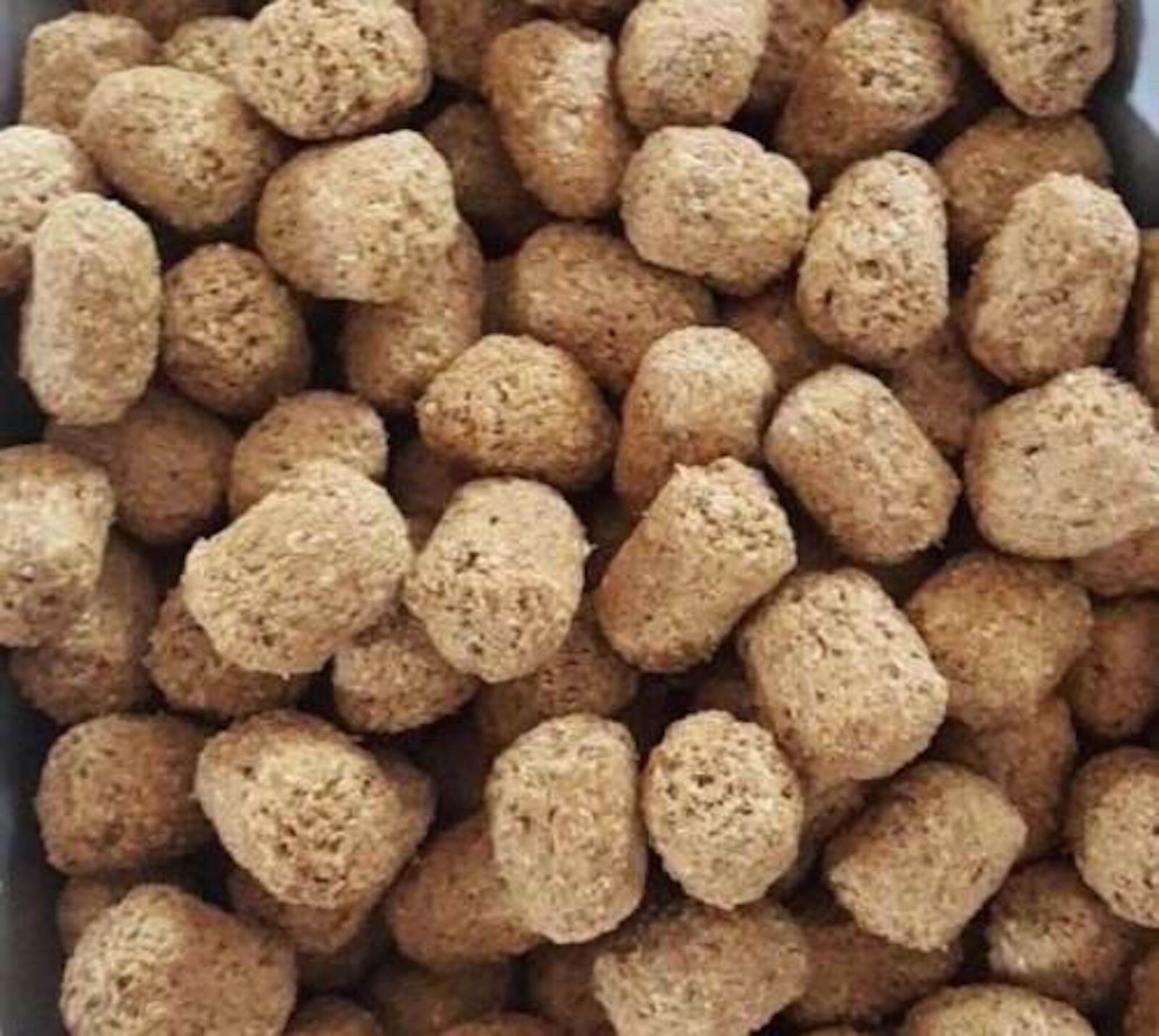 Tortoise Iguana Reptile Food DIET FRESH from bulk Choose Size!!!