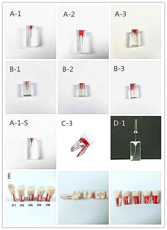 Dental Module Model Pulp Practise Root Canal Dentist Study Endo Training Tubes