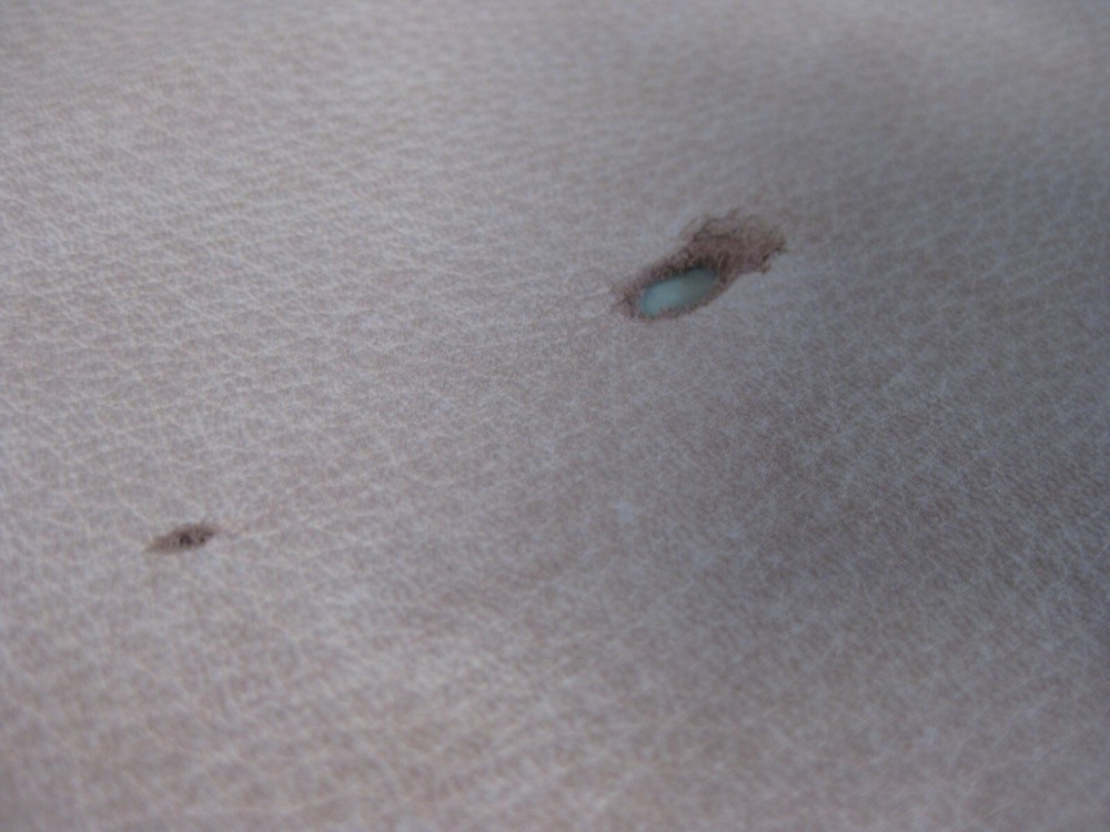 Top Grain Deer Leather #0018193 Row 154