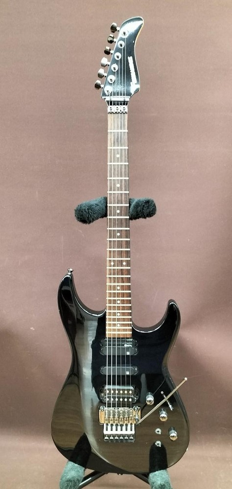 FERNANDES / FR-85 (no260404)