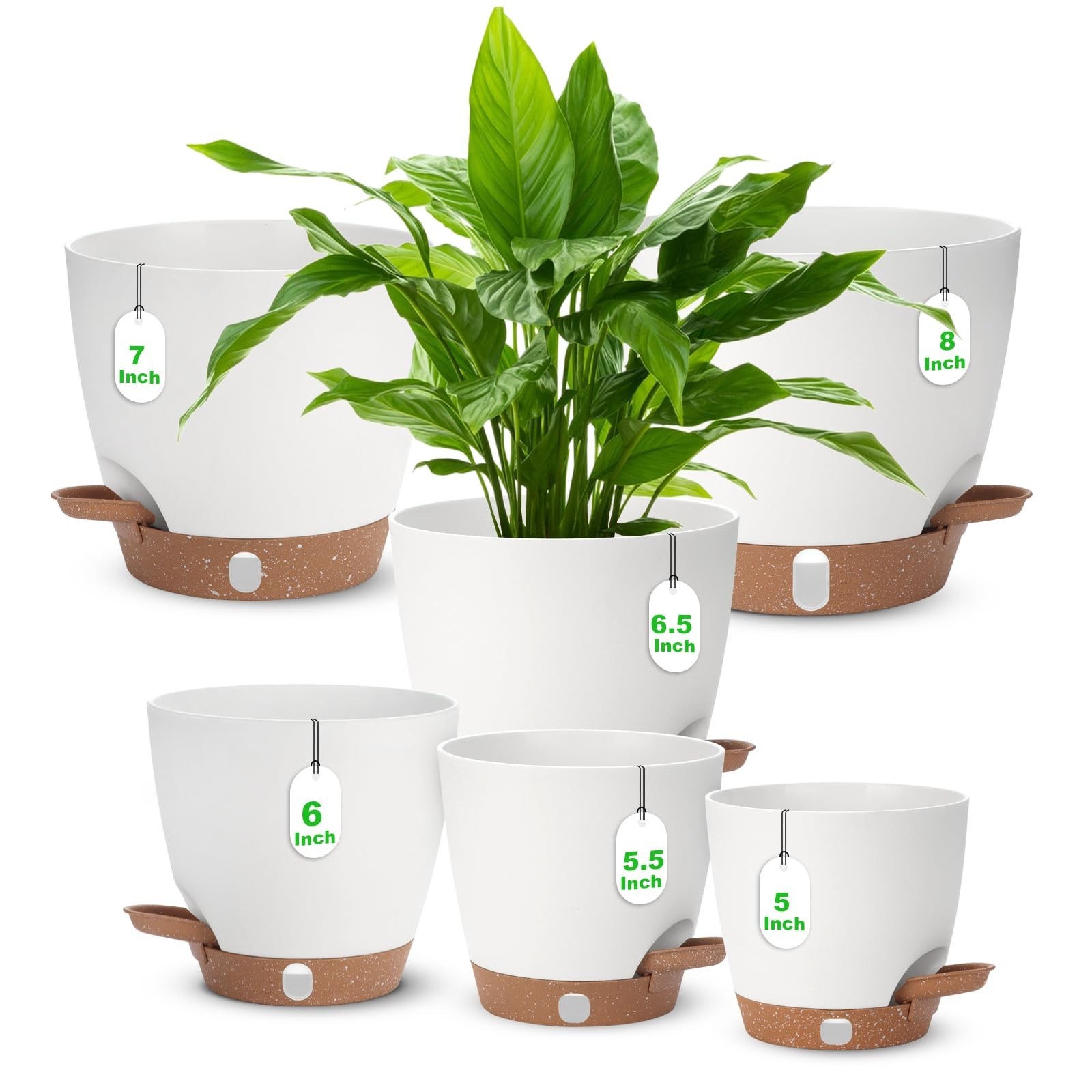 Self Watering Planter with Visual Water Level, 6Pack Small Plastic Pot Set wi...