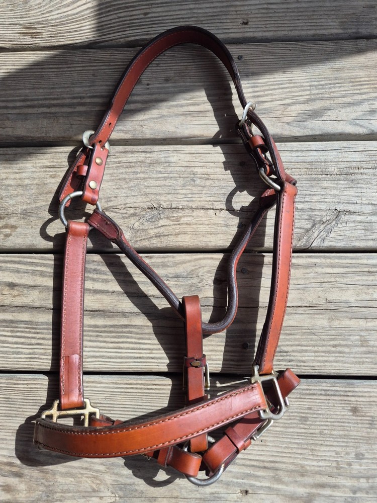 Tory Leather Halter Average Horse Size