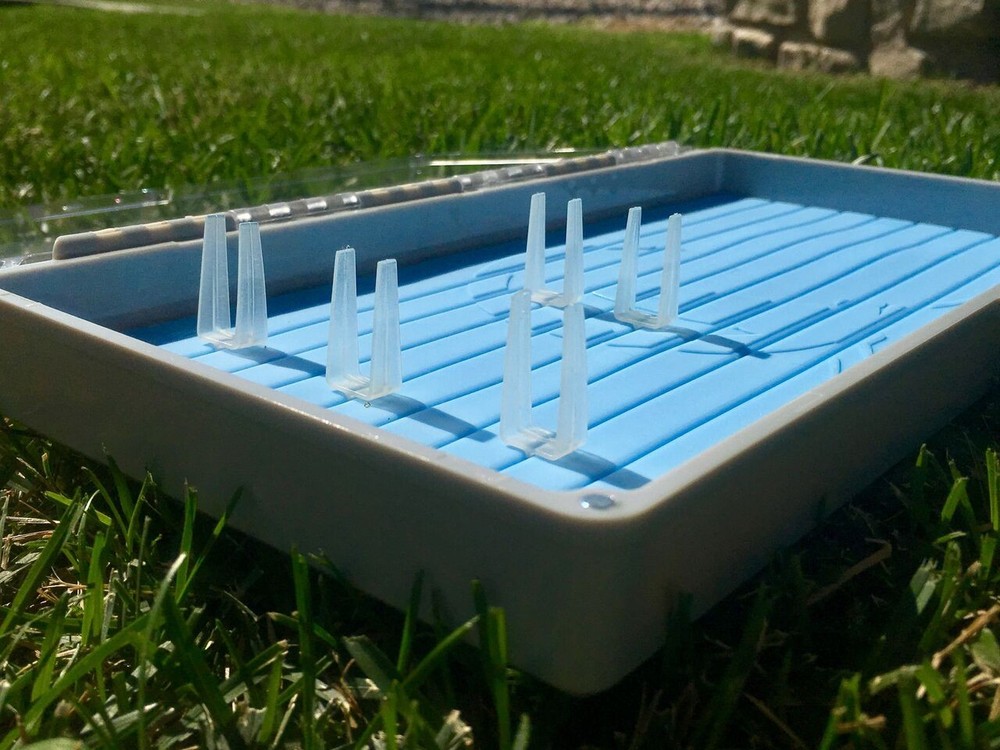 Tacky Predator Fly Box, NIP!