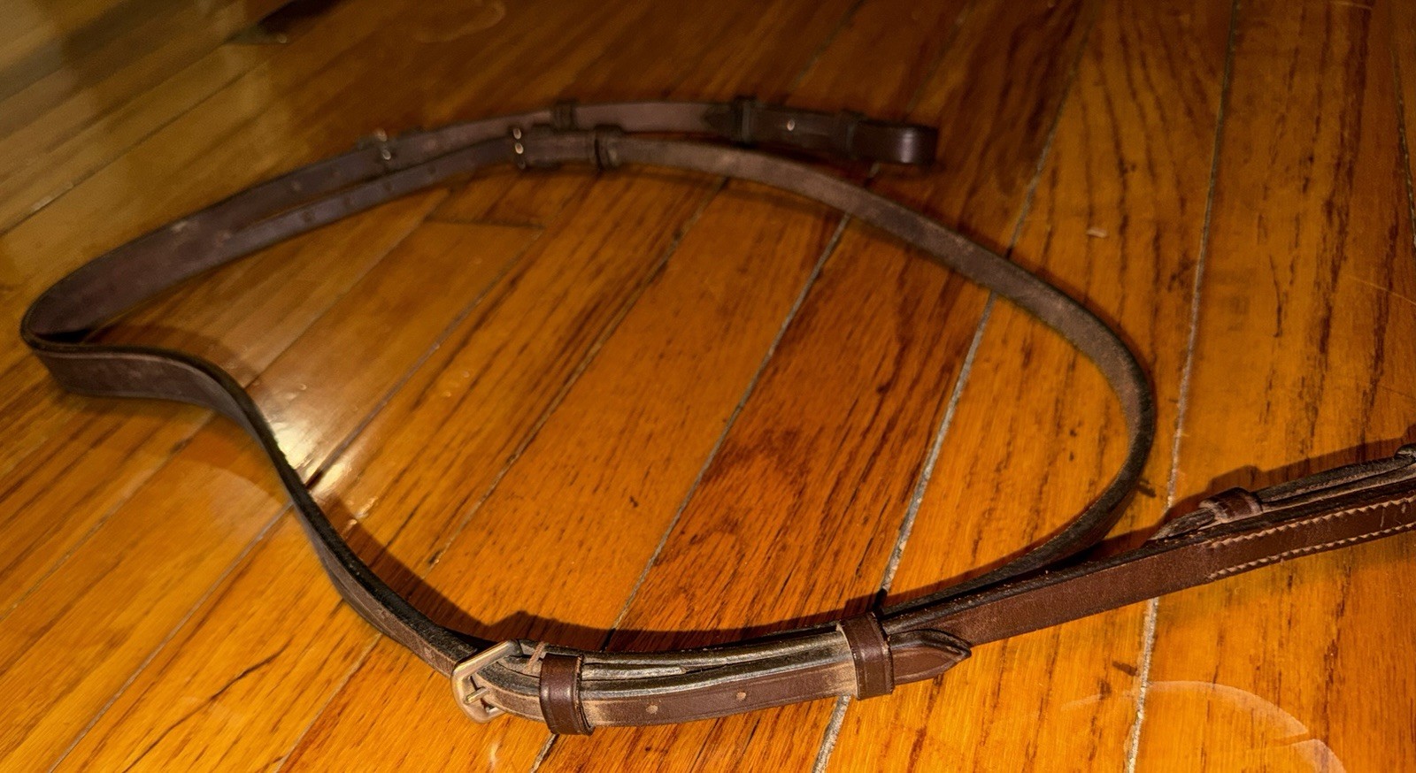 Leather Horse Head Gear and Leather/Nylon Reins