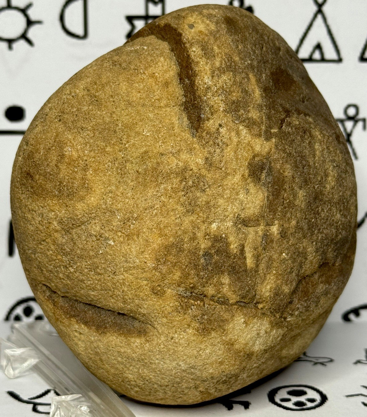 Native American Indian Authentic Artifact Stone Carved Effigy, 1 lb 10 oz • VA