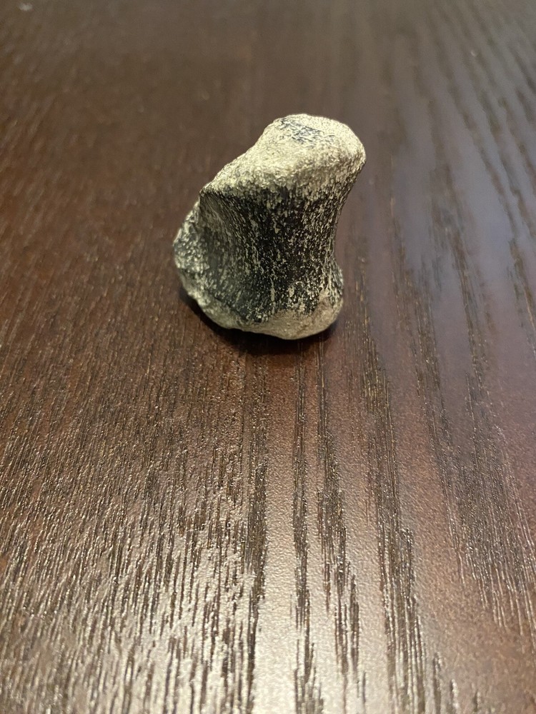 Ancient Fossil, Bone, Unusual, Age Unknown, Very Old, REAL!