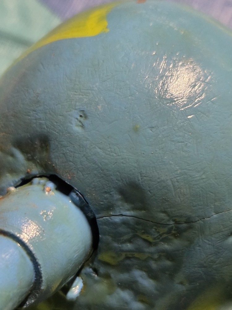 Maracas Blue Set. See Pics.