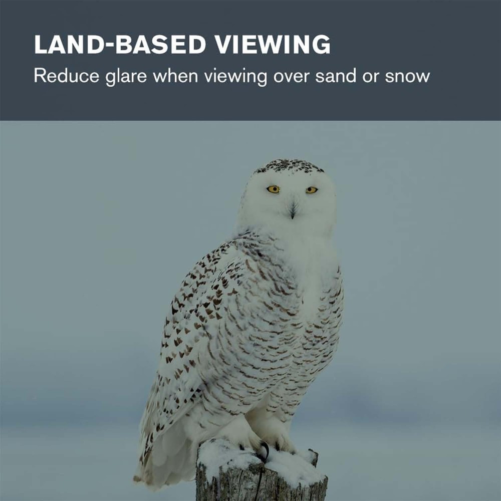 Versatile 1.25-Inch Moon and Planet Filter: Elevate Your Astronomical Experience