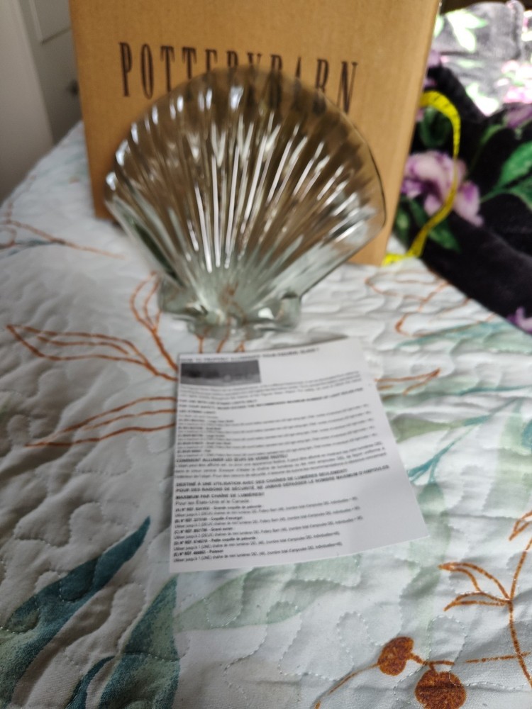 POTTERY BARN SEASHELL FIGURAL GLASS SMALL NEW