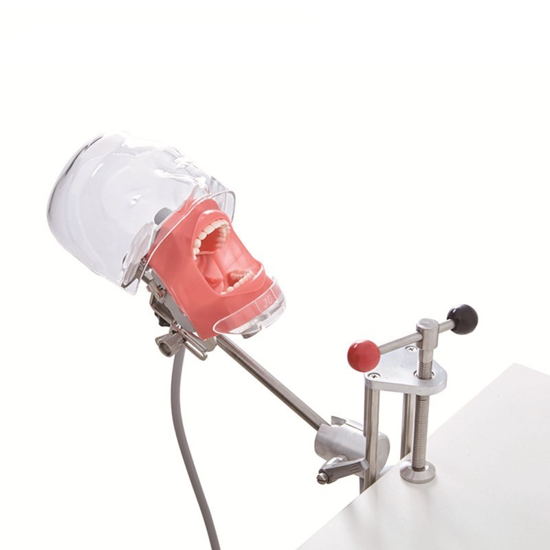 Dental Simulator Manikin Phantom Head Model Training Model Installing on Table