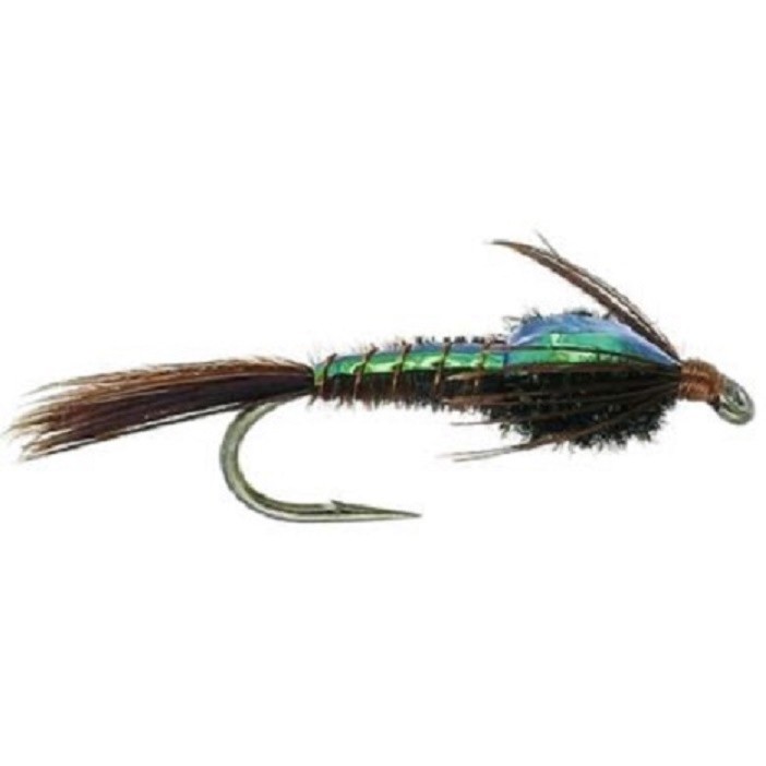10  Flashback pheasant Tail Nymph #12,14