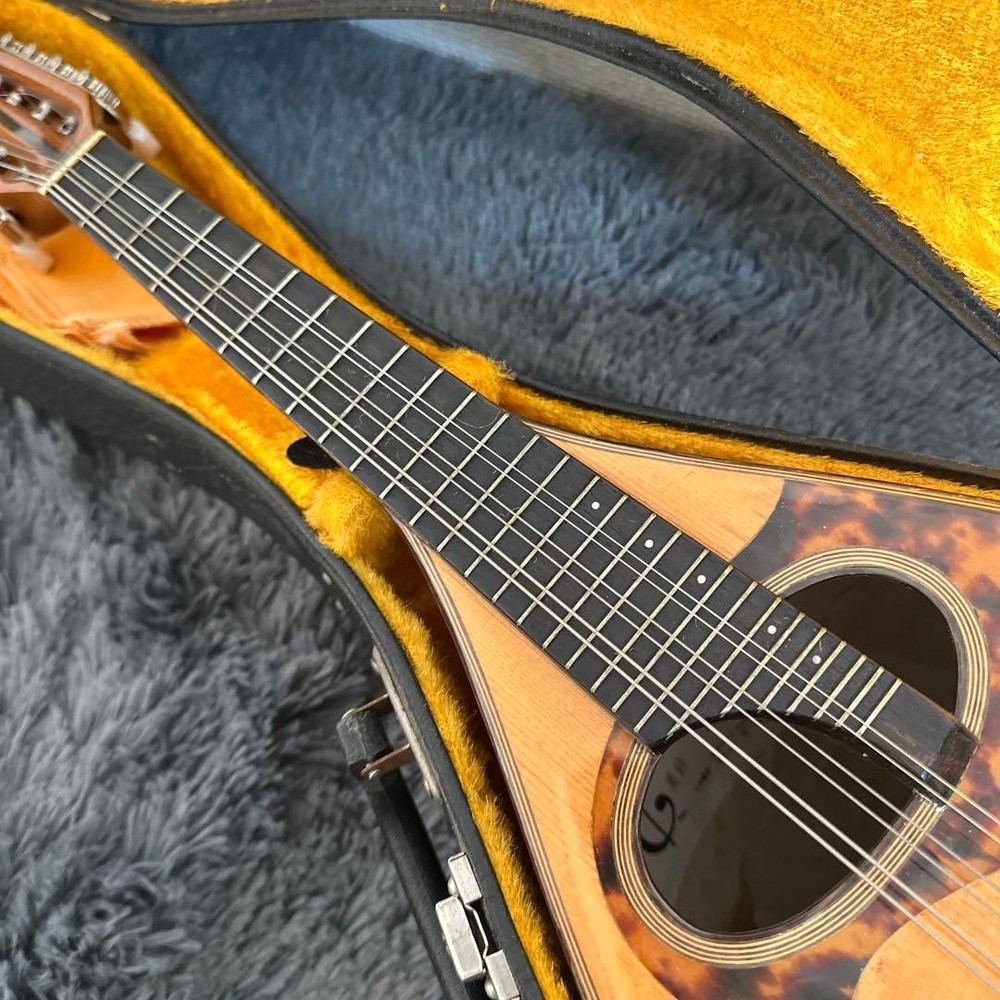 Misuzu Mandolin String Instrument Hard Case Supervised by Minoru Noguchi Luxury