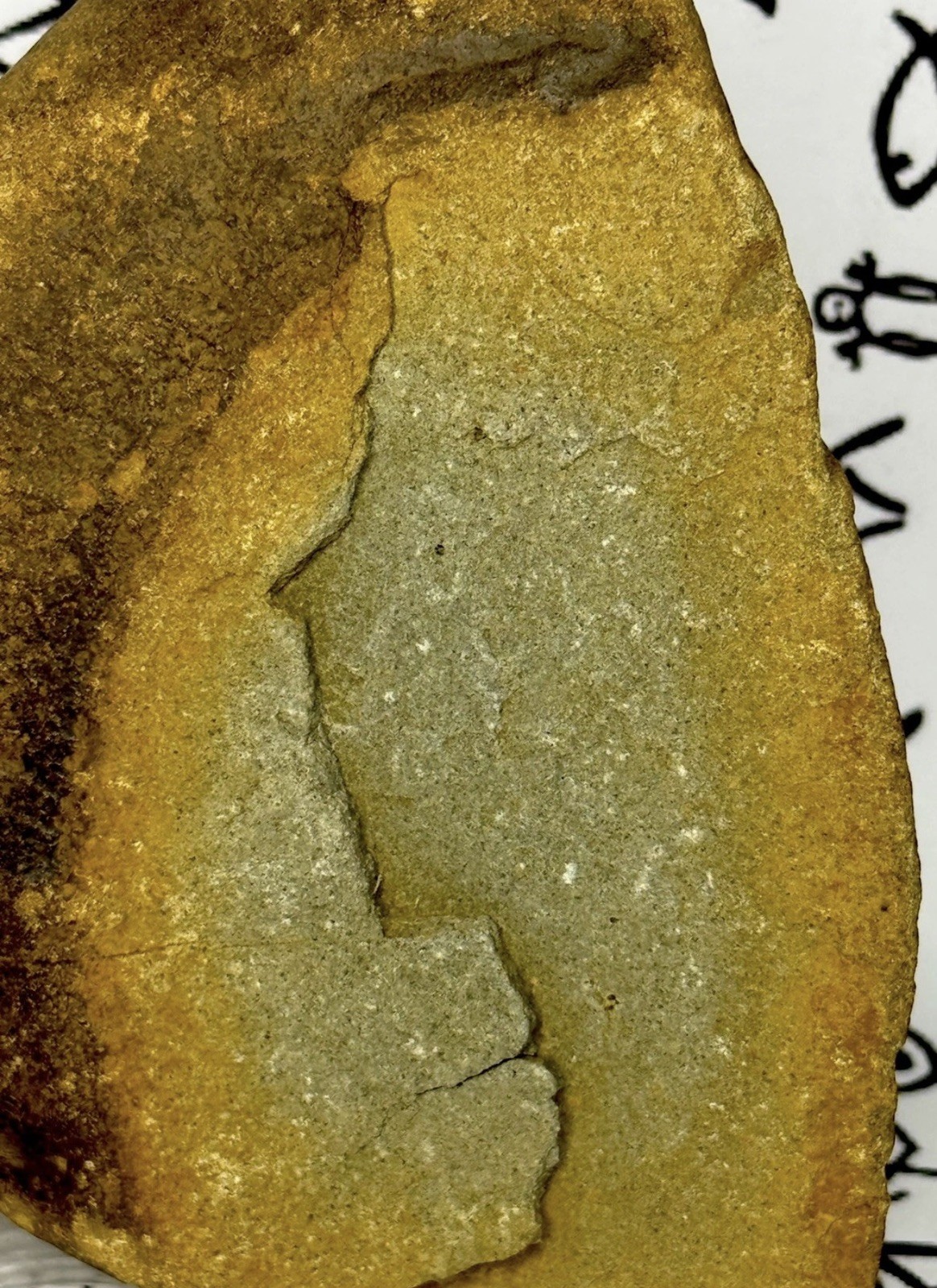 Native American Indian Authentic Artifact Stone Carved Effigy, 2 lb 12 oz • VA