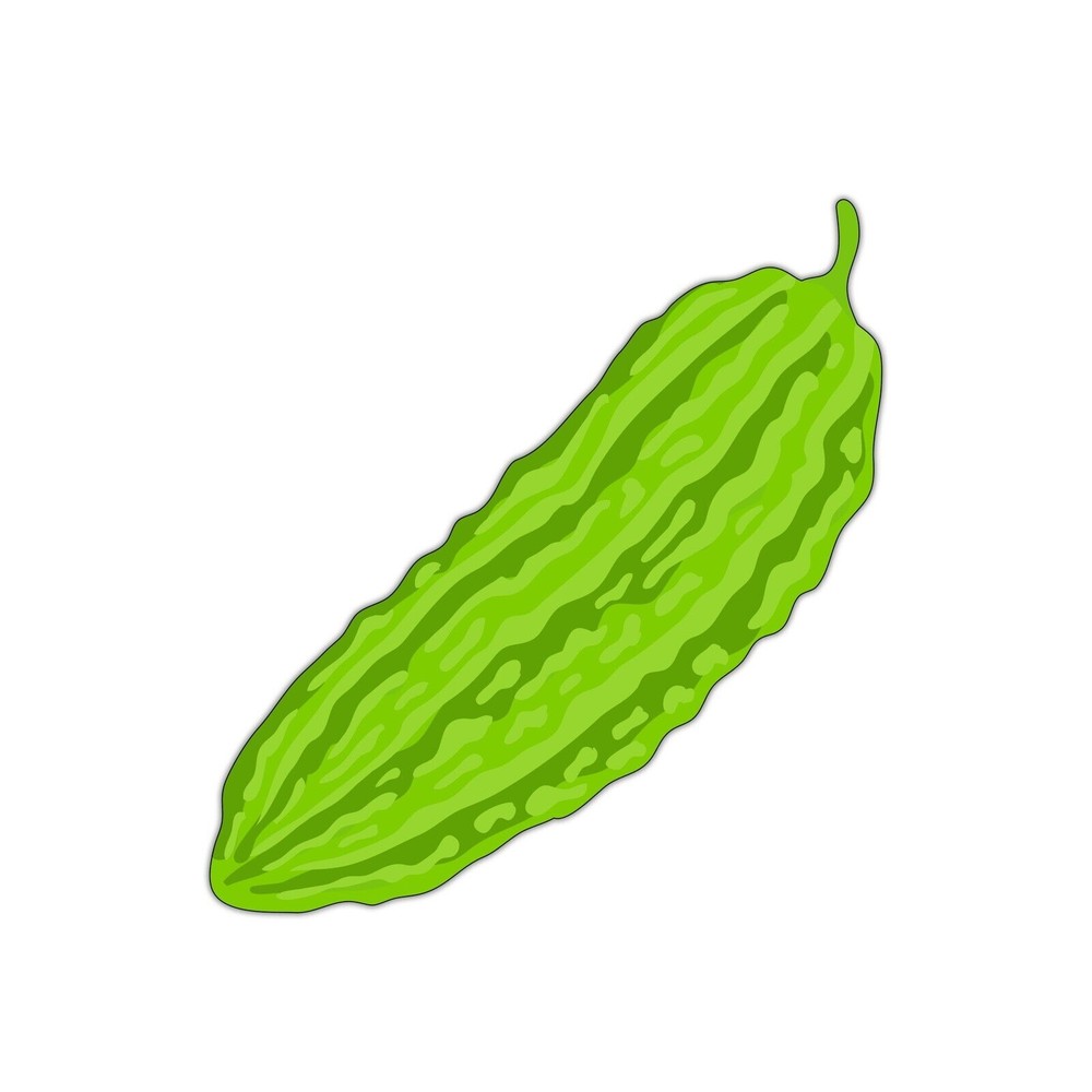 ???? Bittermelon GOYA Okinawa Sticker Decal