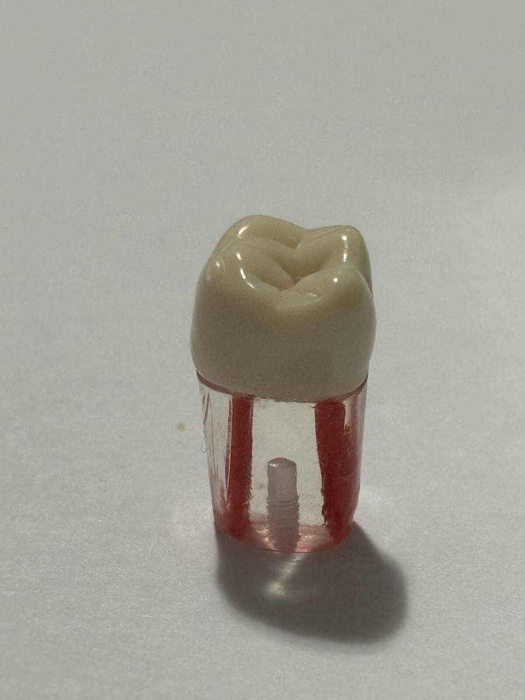 Endo Tooth #46 For ADC MODEL (10 Pack)