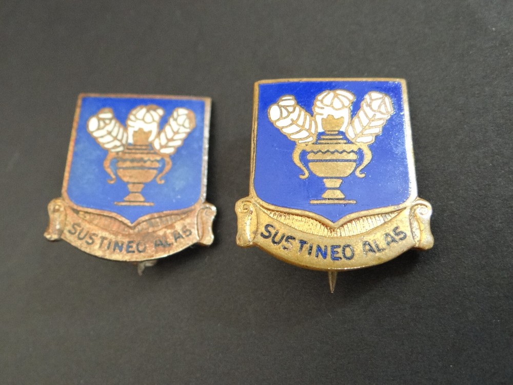 WWII US Army Air Corps Pinback Technical Training Command DUI Crests Pair