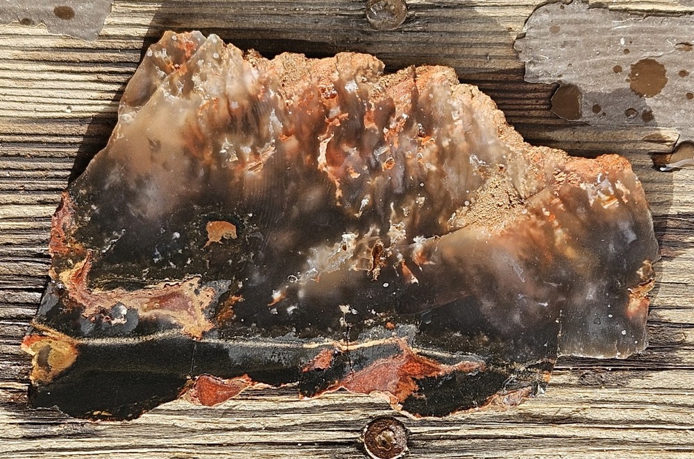 Unknown Lapidary Slab 115 Grams