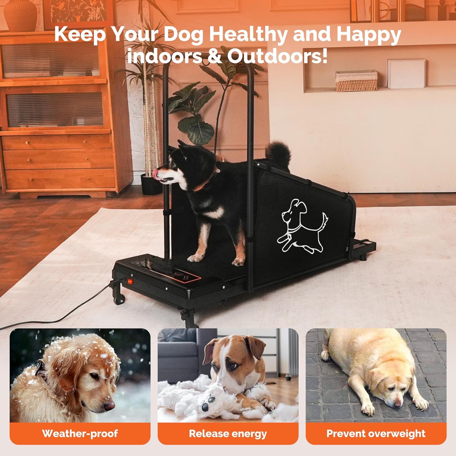Dog Treadmill for Small to Medium Dogs – Pet Running Machine LED Display, Quiet