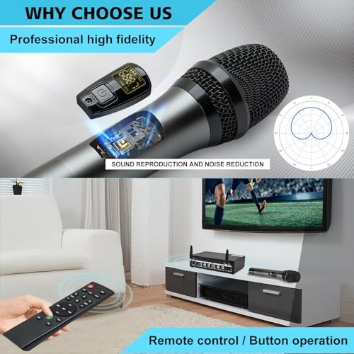 UHF Wireless Microphone System, Cordless Karaoke Microphone System with 2