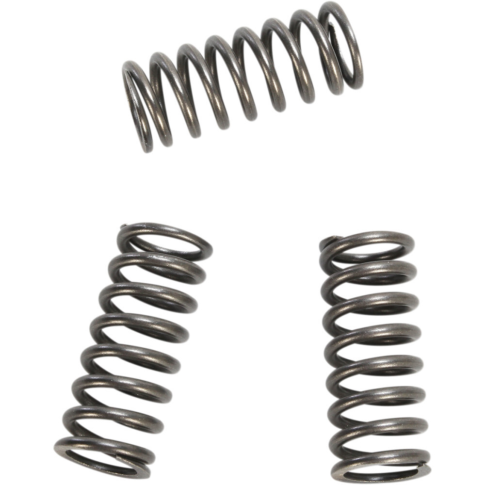 EBC Clutch Springs | CSK218