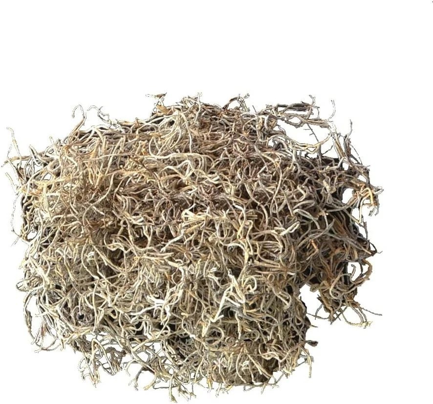 Spanish Moss, 250 Cubic Inches