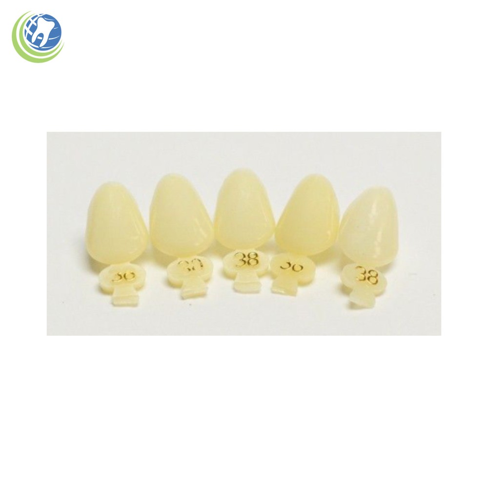 DENTAL POLYCARBONATE TEMPORARY CROWNS #38 (ULC) UPPER LEFT CUSPID 5/PACK