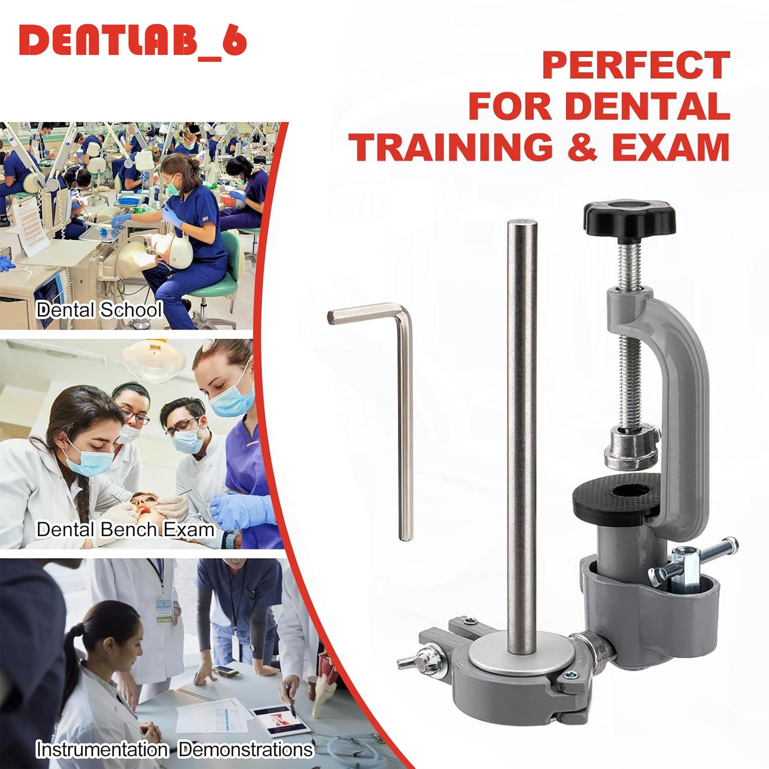 Dental Typodont Mounting Pole 360° Rotating  Dental Simulator not Teeth Model