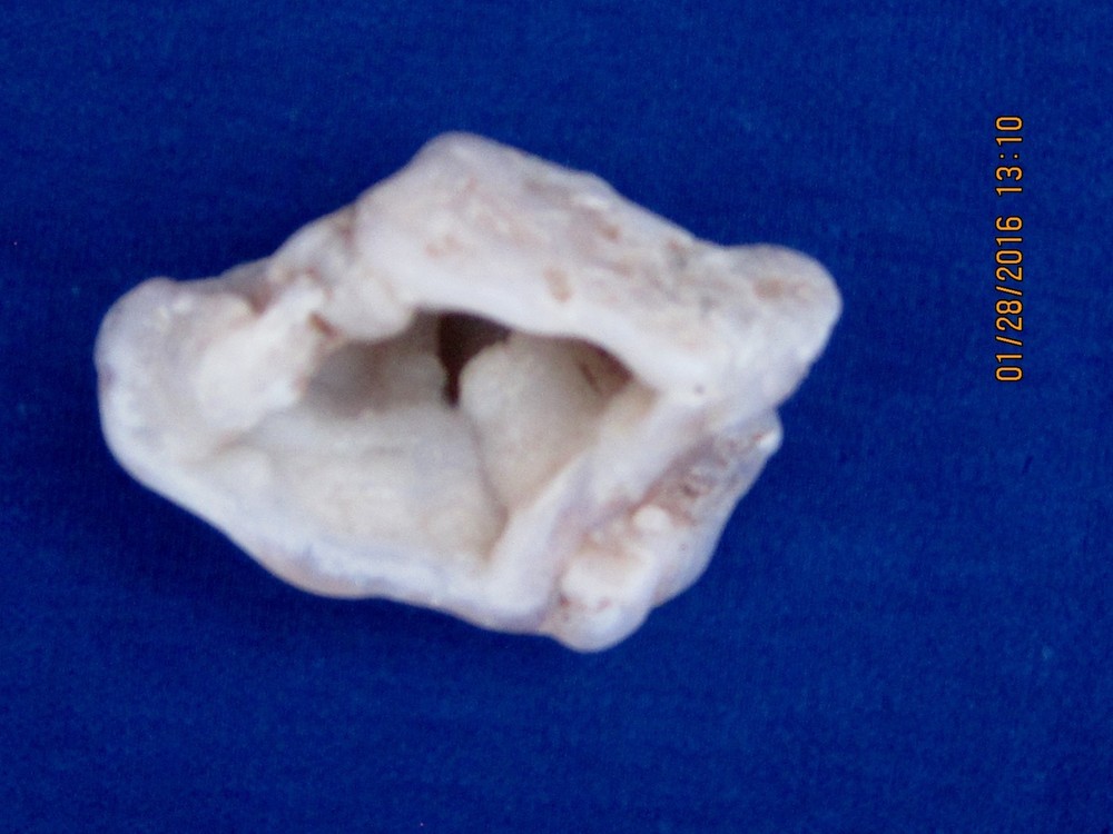 PINK ROSE AGAGTE MINERAL SPECIMENS