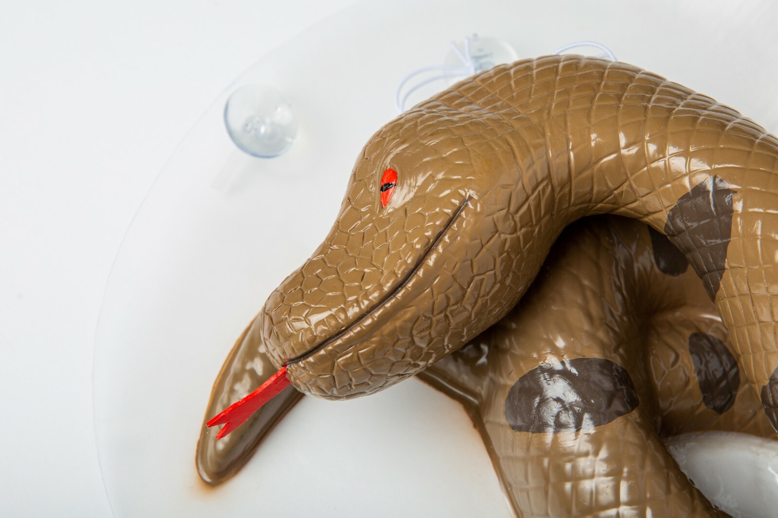 Snake Toilet Bowl Monster - Hisss-terically funny! Bathroom Scary Gag Prank Joke