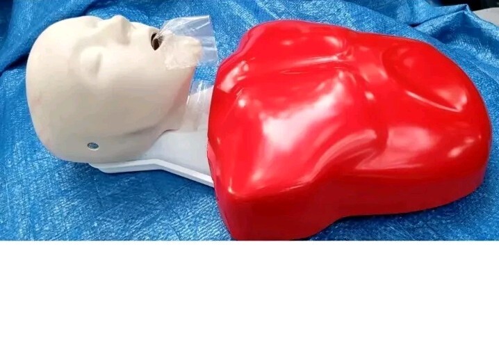 LOT 5 Life/form Basic Buddy 5 Pack Training CPR Manikins LF03694