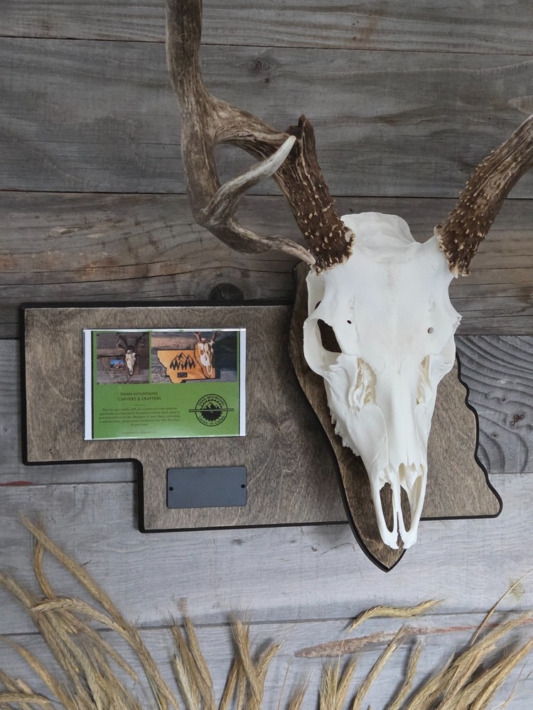 European skull state mount