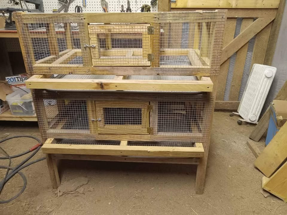Double Decker Quail Hotel
