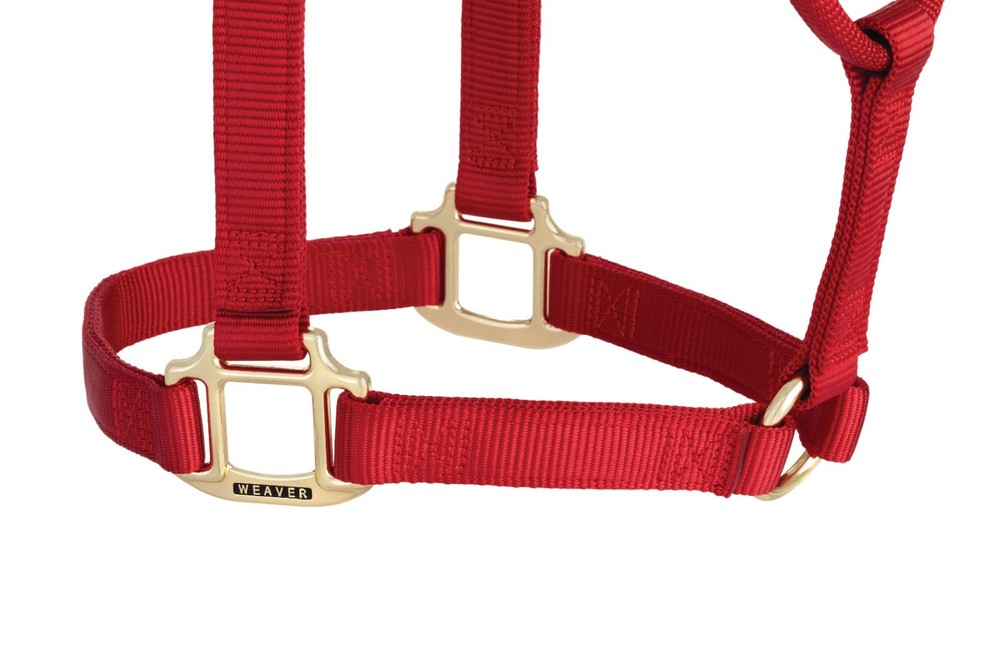 Original Non-Adjustable Halter , 1" Red