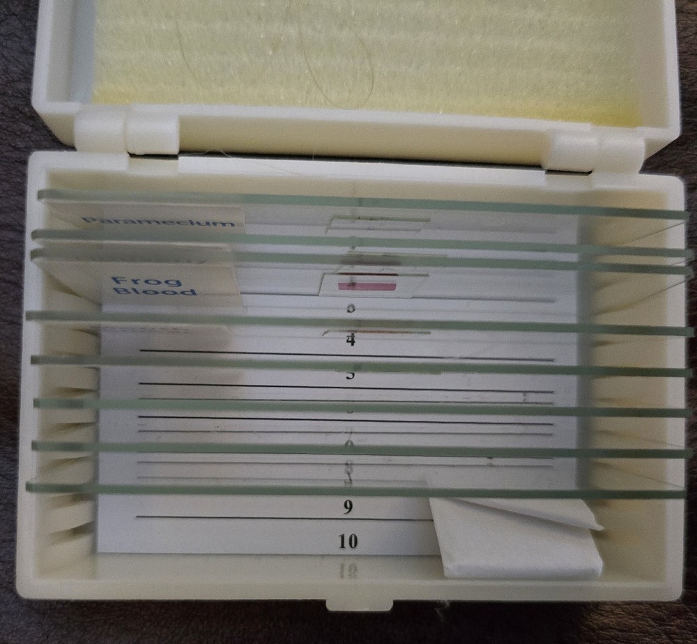 AmScope M162 Series 40x-1000x Microscope