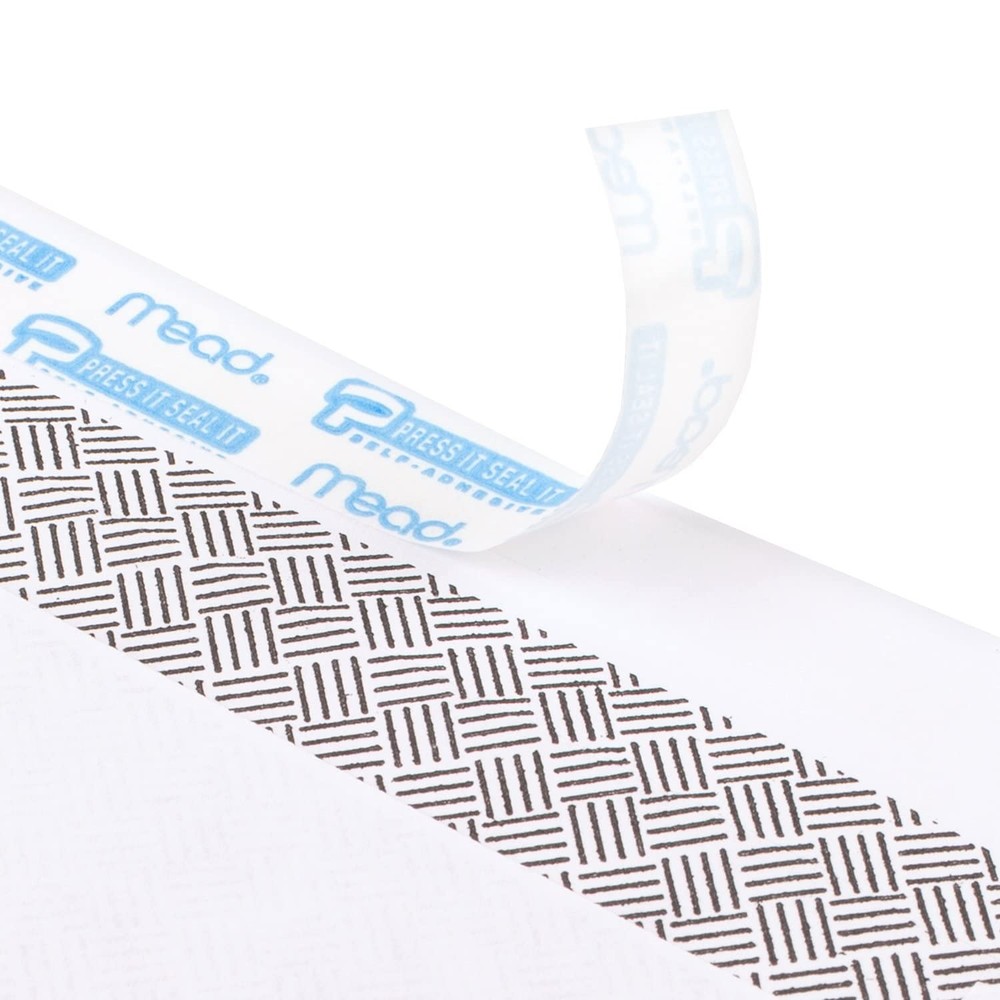 500-Pcs Self Seal #6-3/4 Small Envelopes Security Lining