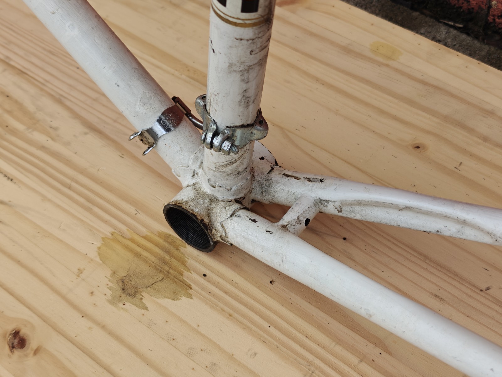 Peugeot PX-10 Vintage Bicycle Frame / Partial Bicycle 54/55cm