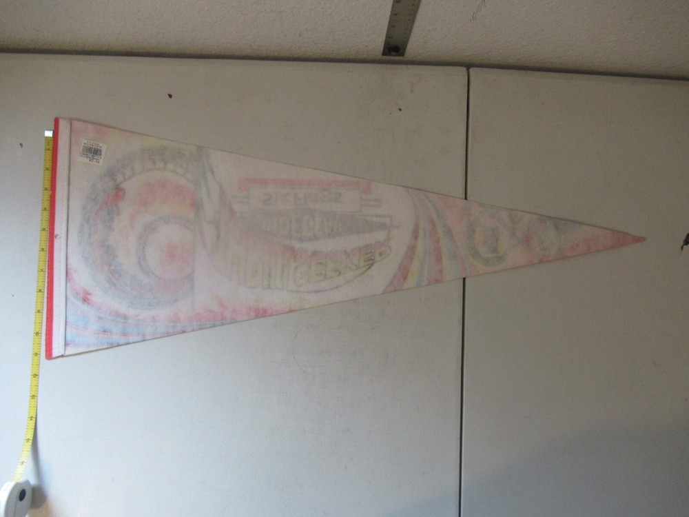 Thrillseeker Six Flags vintage pennant NICE