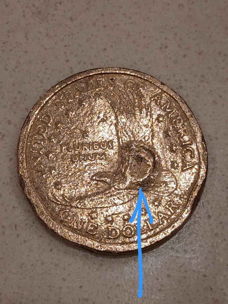 2000p Sacagawea One Dollar Error