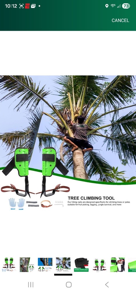 generic tree climbing spikes