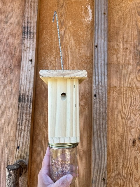 Best Carpenter Bee Trap Set of 6 PRESSURE TREATED Handmade