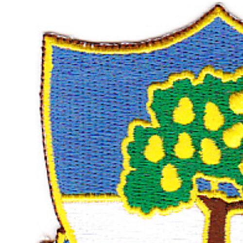 304th Infantry Regiment PatchH