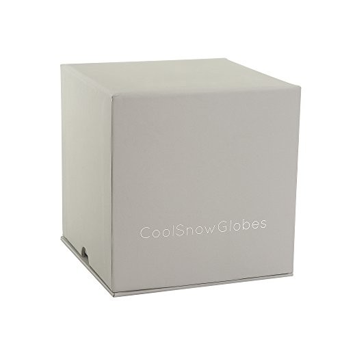 Snowflake Cool Snow Globe Clear