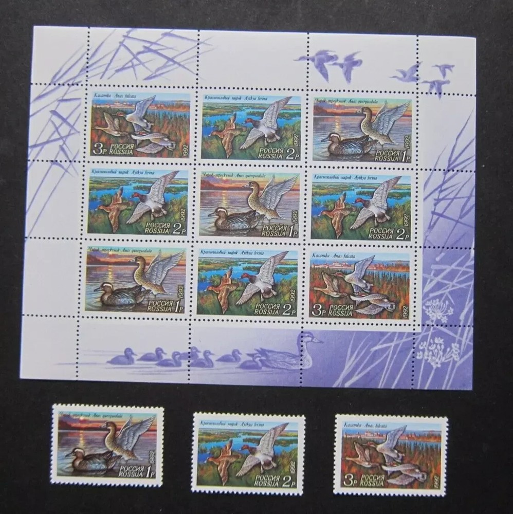 Russia #6092a, Duck Conservation mini sheet, 1992, 9v, MNH