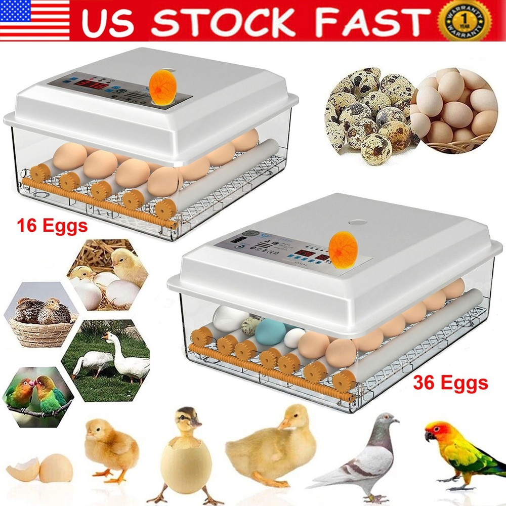 16/36 Eggs Digital Incubator Hatcher Temperature Control Automatic Turning 110V