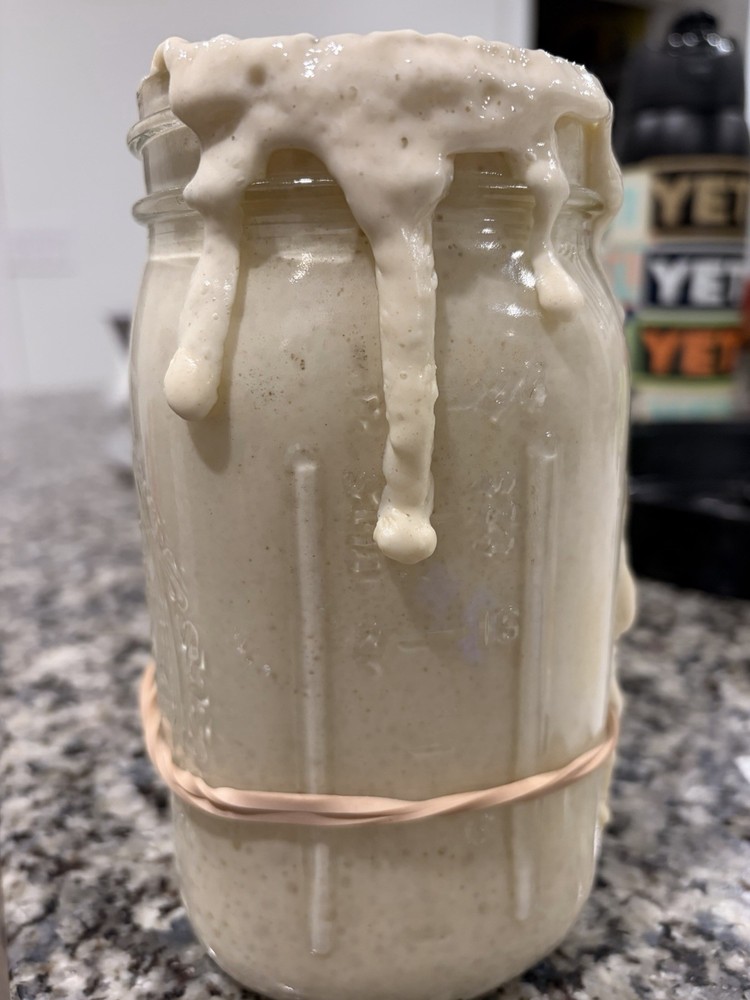 Dried Sourdough Starter with Instructions
