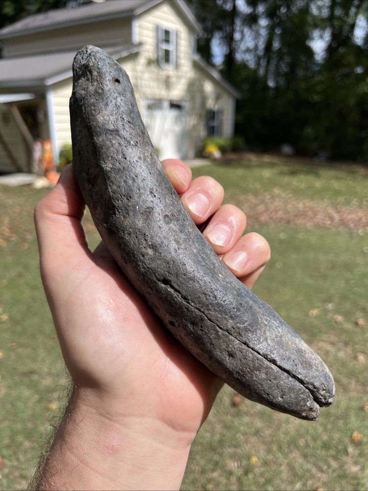 Very Rare Solid Unknown Fossil Segment-Not Modern-read description