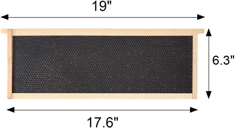 10 - Pack Medium Beehive Frames with Beeswax Foundations – Fits Langstroth Hive