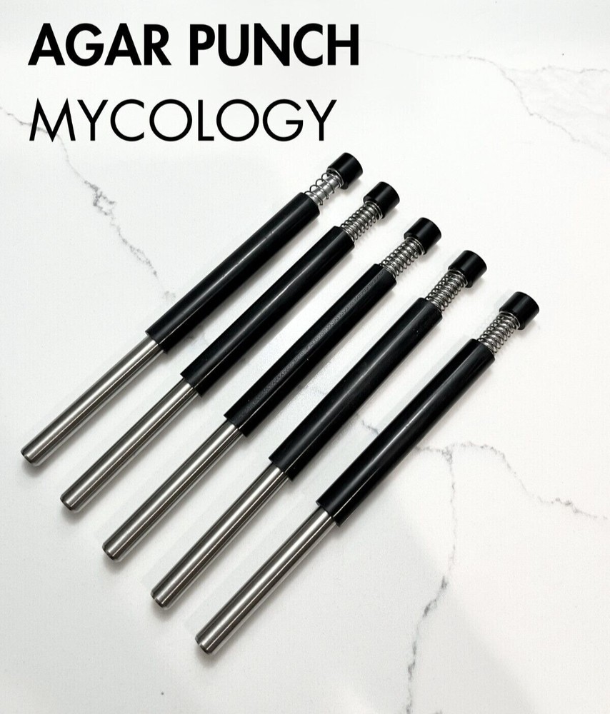 Agar Punch for Transferring Perfect Samples